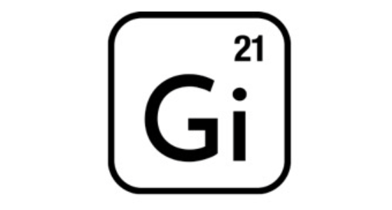 Gi21 Capital a.s.