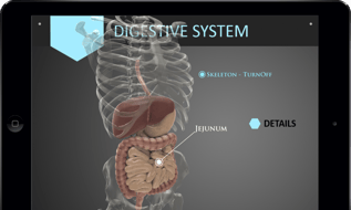 J1E2HZ585MXBpresentigo-digestive-system145376079931.png