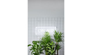 b51282ae5cc0a1fded566215cec2b476.webp