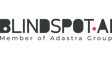 Blindspot Solutions - logo