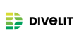 DIVELIT system s.r.o. - logo