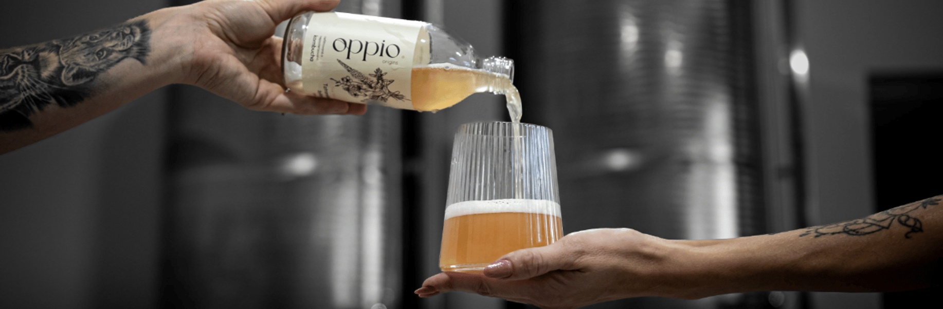 Ministry of Ferments s.r.o - Cover photo