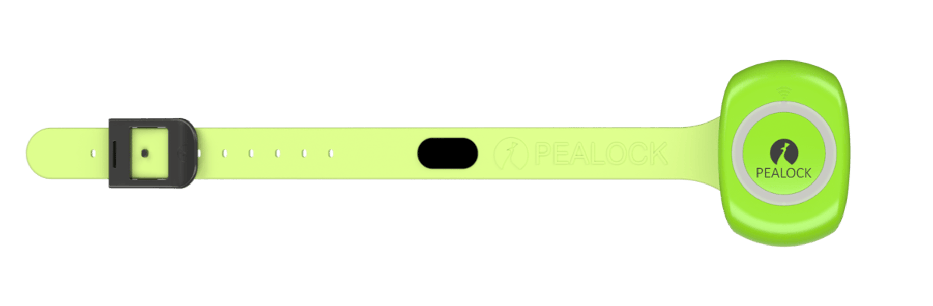 Pealock holding, s.r.o. - Cover photo