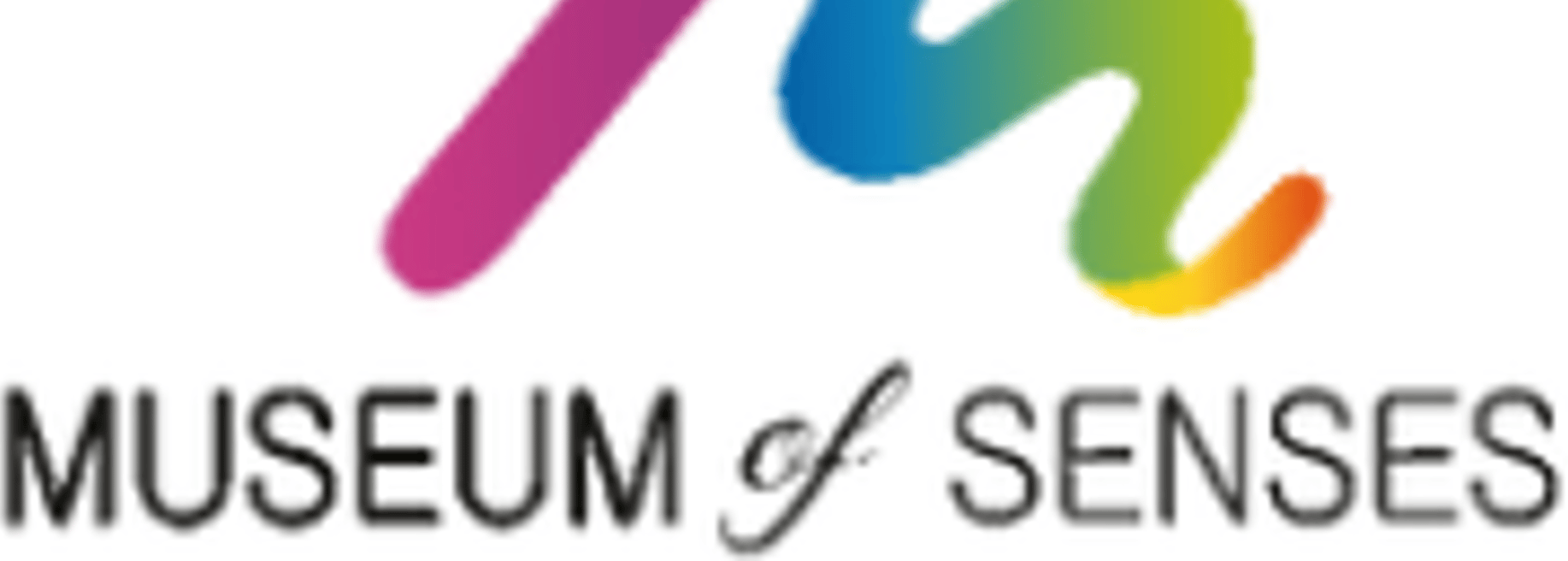 Museum of senses - Cover photo