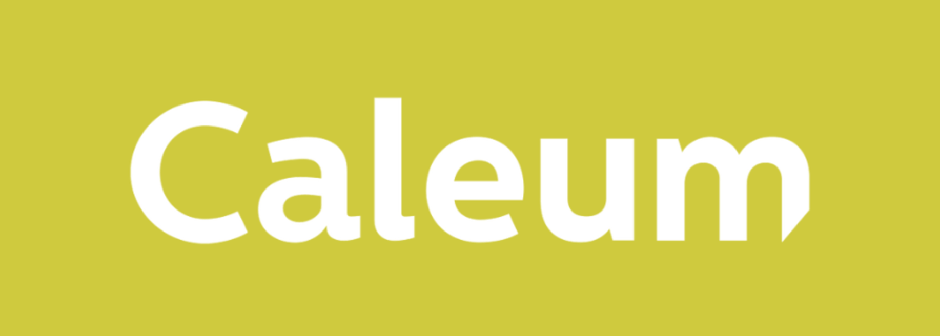 Caleum a.s. - Cover photo