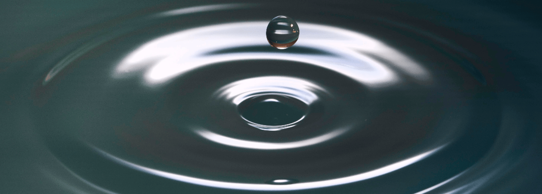 Circulacy s.r.o. - Cover photo