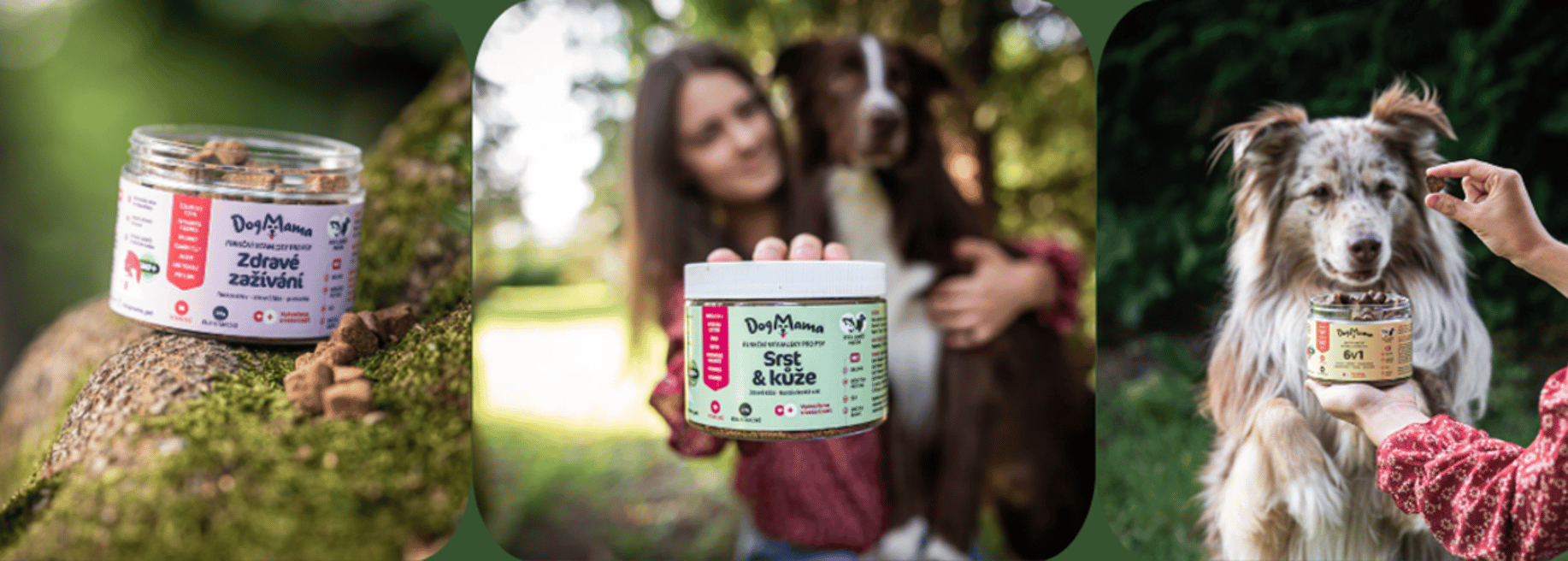 DogMama - Cover photo