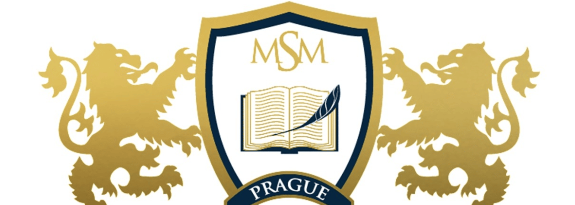 MSM Academy - Cover photo