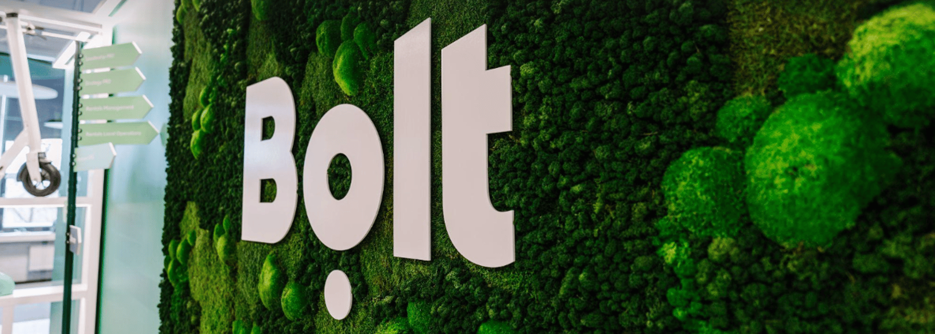 Bolt - Cover photo