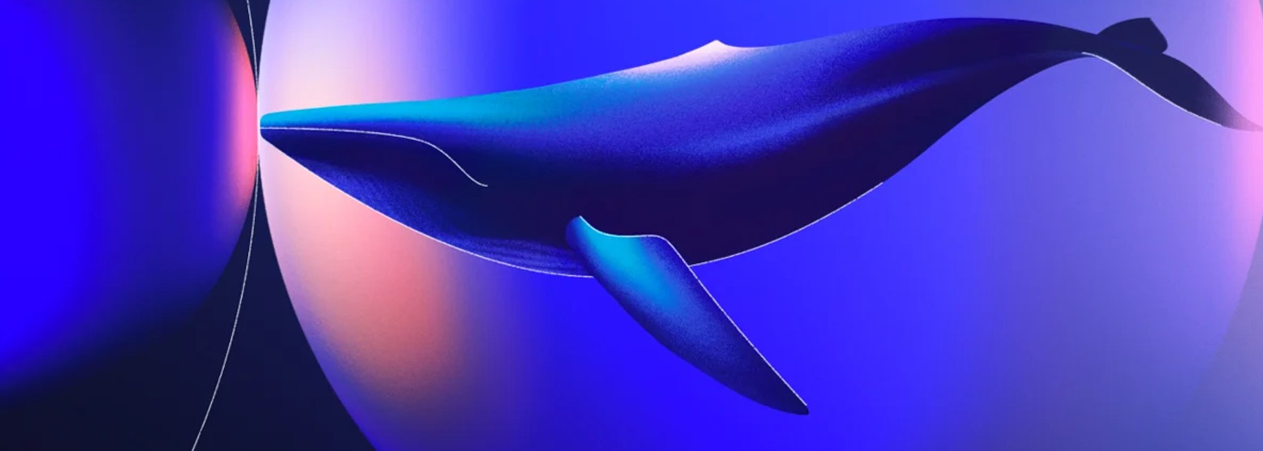 Whalebone, s.r.o. - Cover photo