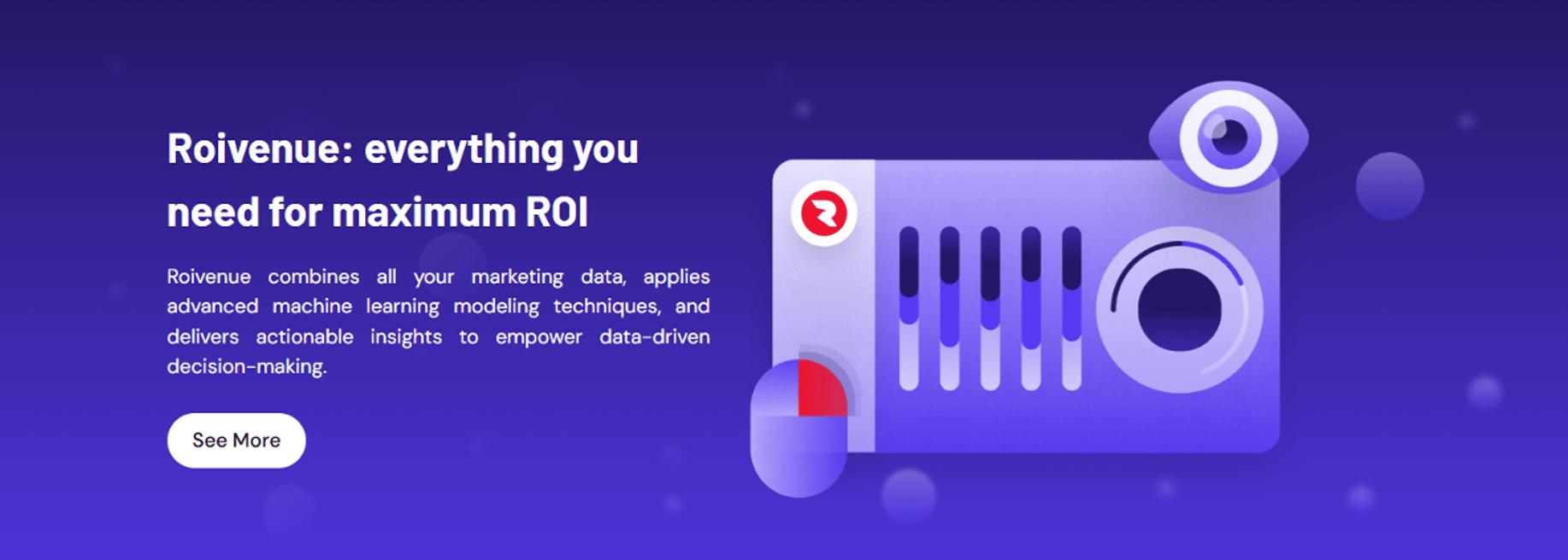 ROIVENUE - Cover photo