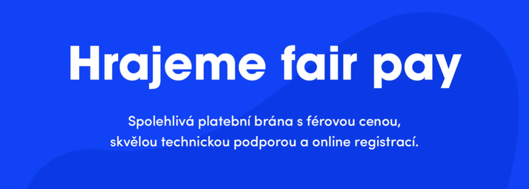 ThePay.cz, s.r.o. - Cover photo