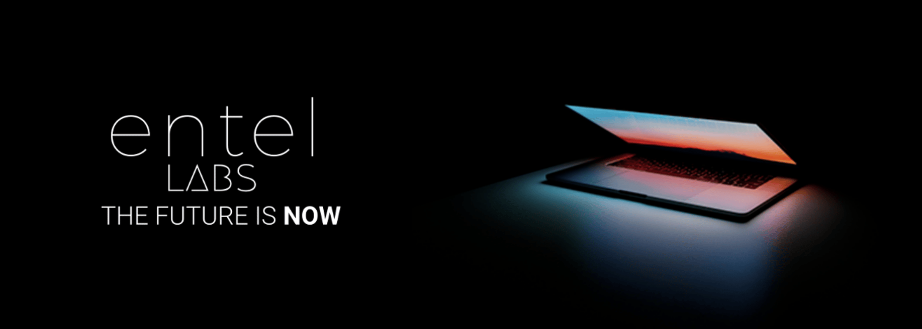 Entel Labs - Cover photo