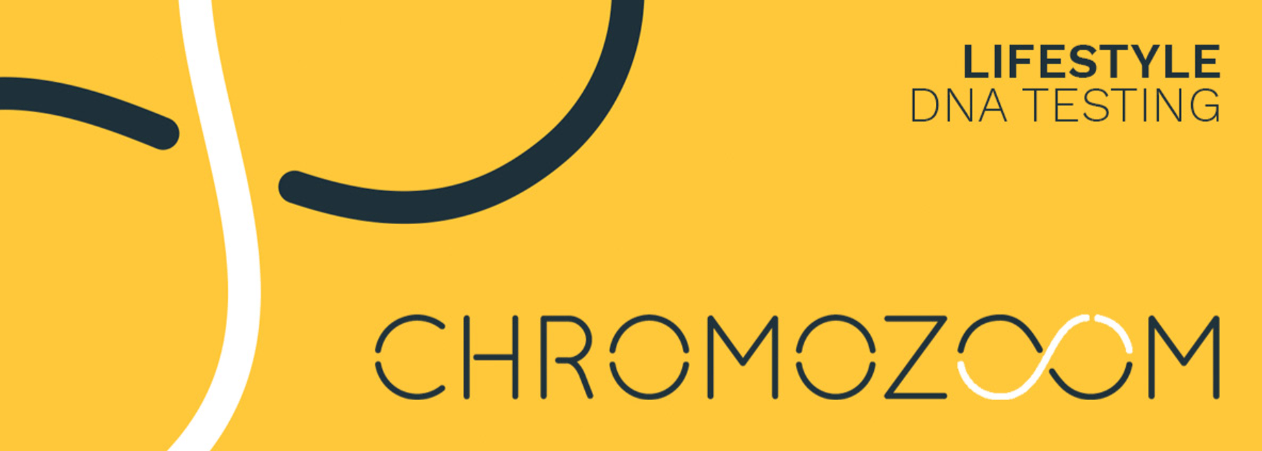 Chromozoom - Cover photo