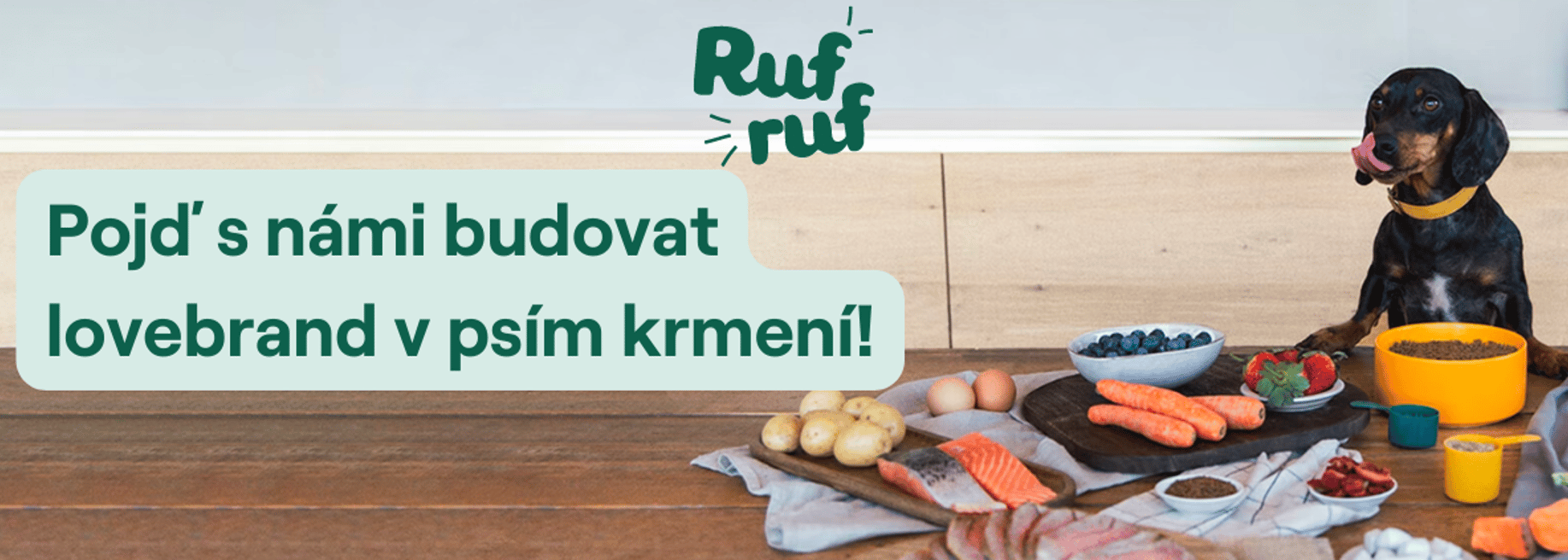 Rufruf s.r.o. - Cover photo