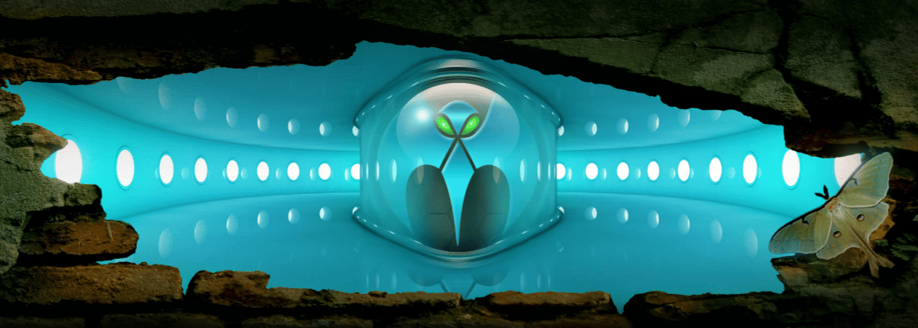 Cybermoth GmbH - Cover photo