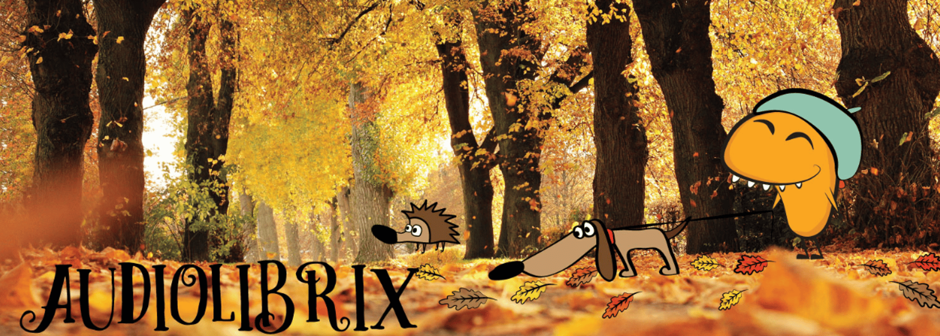 Audiolibrix - Cover photo
