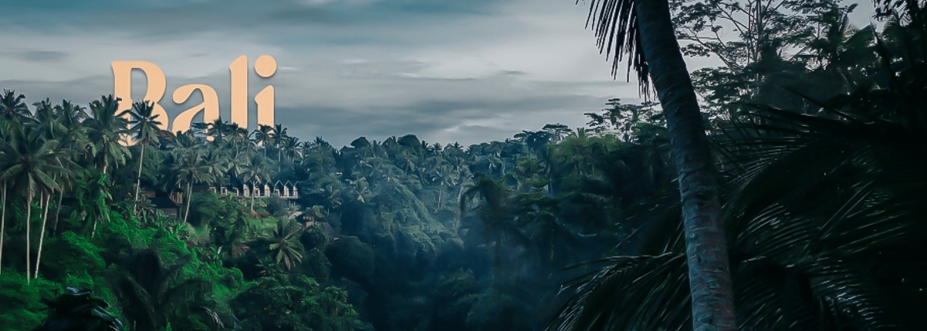 ASIJO s.r.o. - Cover photo