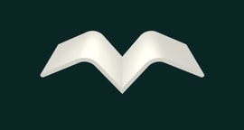 Ravineo