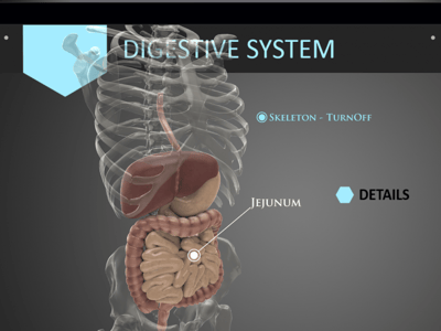 J1E2HZ585MXBpresentigo-digestive-system145376079931.png
