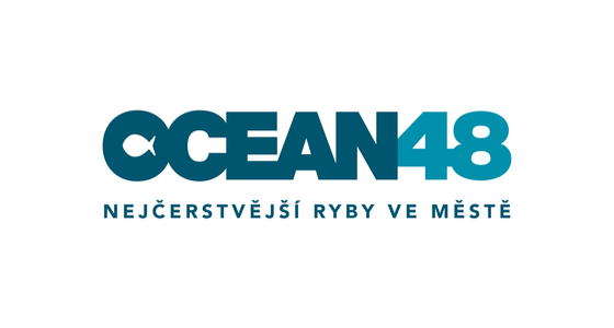 OCEAN48 - logo