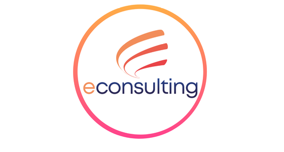 E-Consulting  Czech - logo