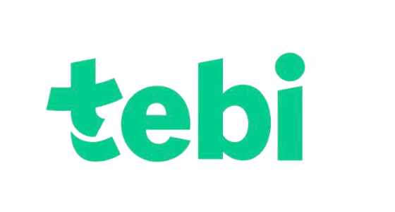 Tebi B.V. - logo
