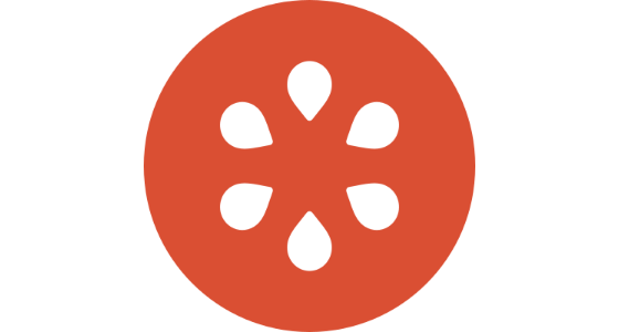 Wikidi - logo