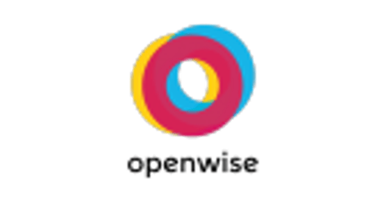 OpenWise Solutions - logo
