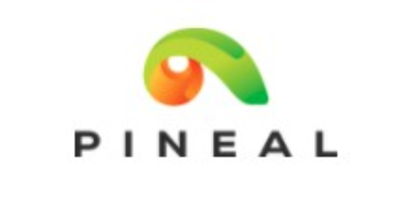 Pineal s.r.o. - logo