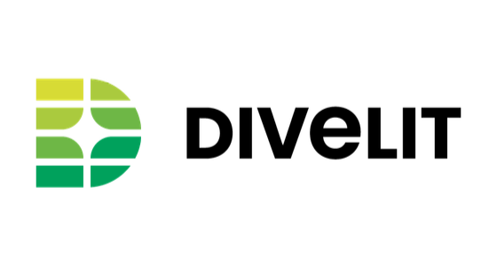 DIVELIT system s.r.o. - logo
