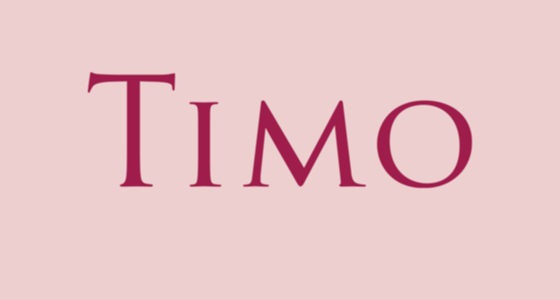 Timo s.r.o. - logo