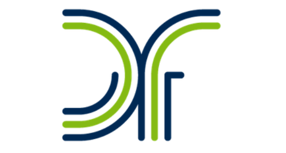 DataFriends s.r.o. - logo
