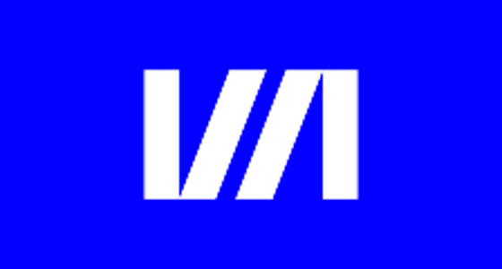 Vizart agency