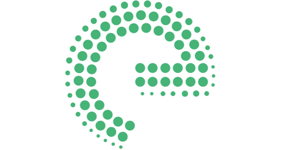 Enrian Partners - logo