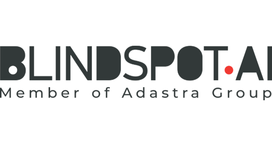 Blindspot Solutions - logo