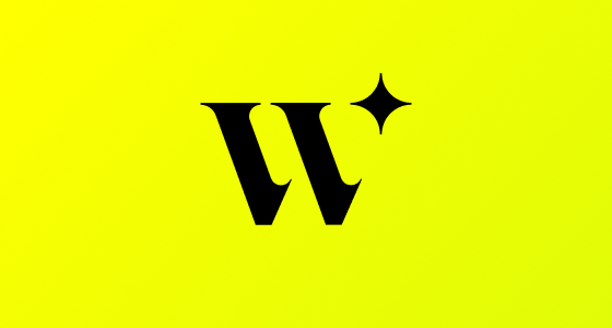 Wonder Makers - logo