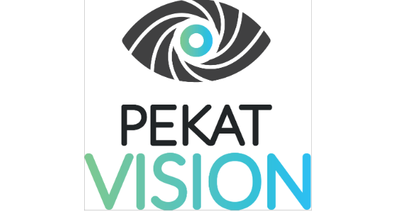 PEKAT VISION - logo