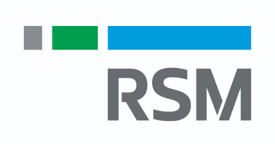 RSM Technology  CZ - logo