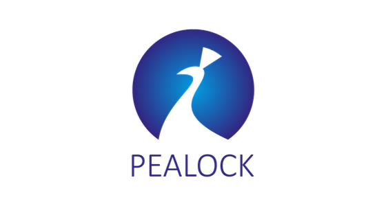 Pealock holding, s.r.o. - logo
