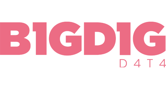 Big Dig Data s.r.o. logo