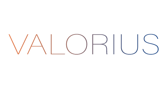 Valorius s.r.o. logo