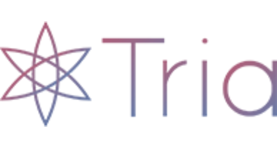 E-Consulting Future s.r.o. logo