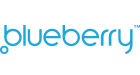 Blueberry Development