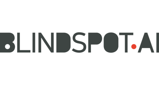 Blindspot Solutions logo