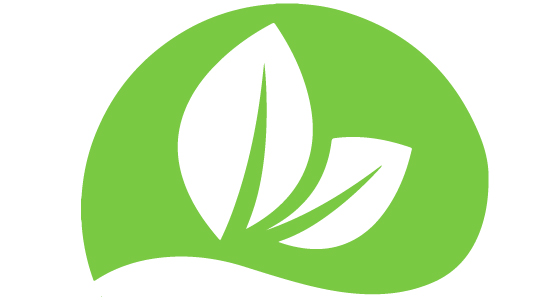 Earthfluence logo