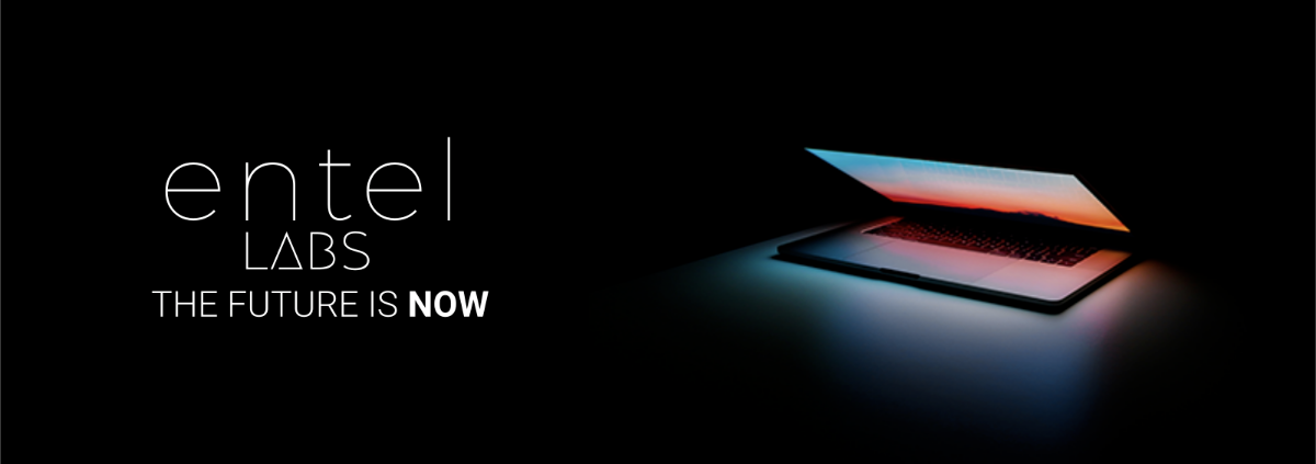 Entel Labs cover