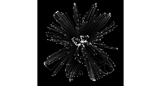 FLWR logo