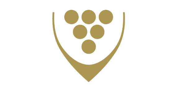 Umění vína s.r.o. logo