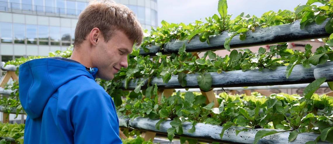 Ozelenit Prahu a farmařit v centru města. Na střeše obchoďáku se otevírá studentská ekofarma s bylinkami a zeleninou